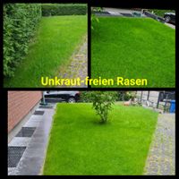 Rasensanierung Rasen unkrautfrei Garten-Business 2024